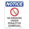 Signmission OSHA Notice Sign, No Smoking Under Penalty With Symbol, 24in X 18in Decal, 18" W, 24" L, Portrait OS-NS-D-1824-V-14809 - alternate 1